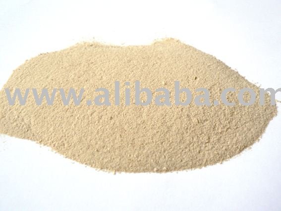 Inactive Dry Brewers Yeast