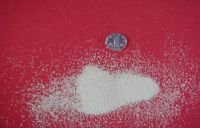Yeast Powder