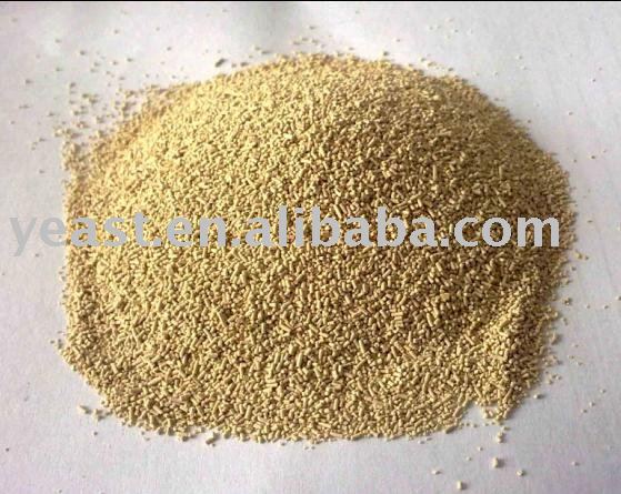 Baking yeast with ecnomic price