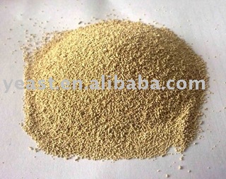 baking yeast with high active