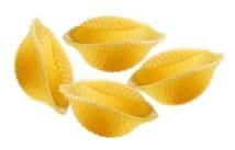 PASTA   big shells