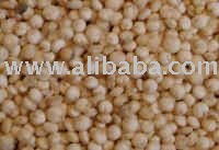 Oats