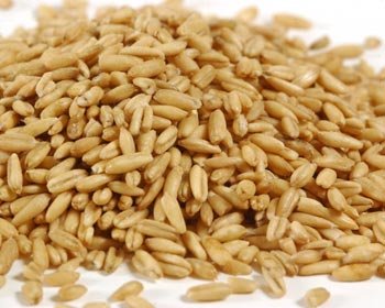 Oat Groats