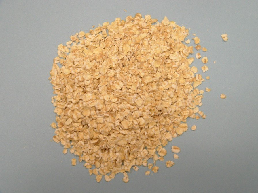 Quick oat,Argentina price supplier - 21food