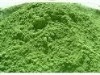 oats grass juice powder