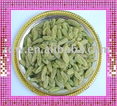 Dried Green Raisin in Bulk