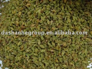 Dried Green Raisin