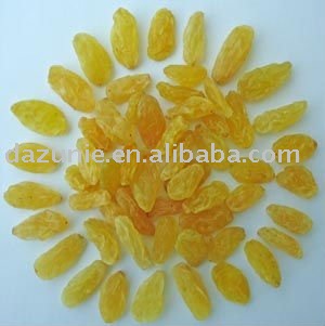Dried Golden Raisin
