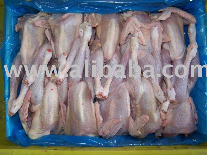Hen - Frozen