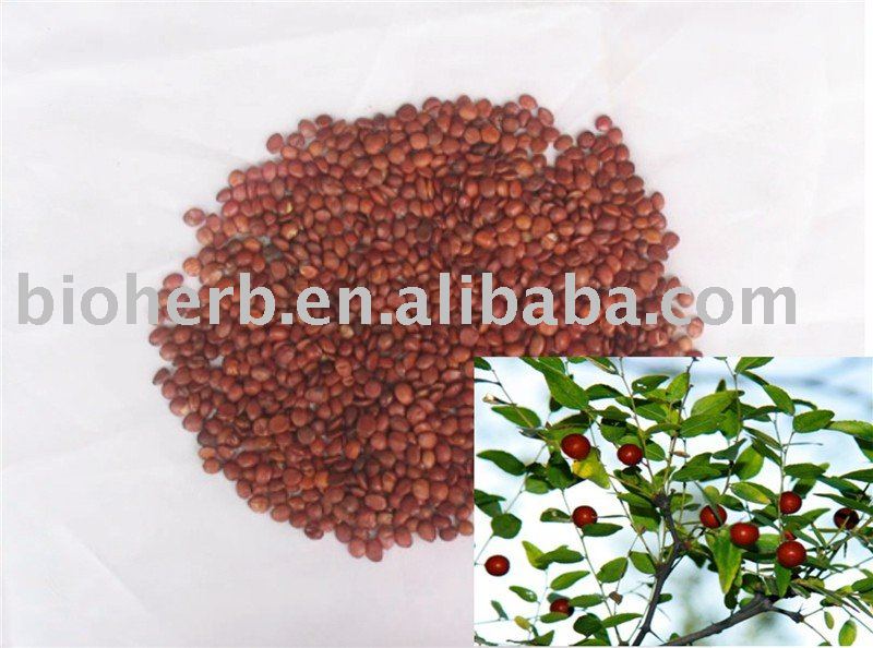 Chinese Fruit- Organic  Dried Fructus Jujubae Date (Da Zao)