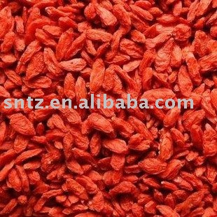 Goji Berry