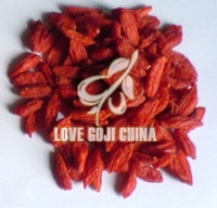 Natural goji berries, green,  free - pesticides 