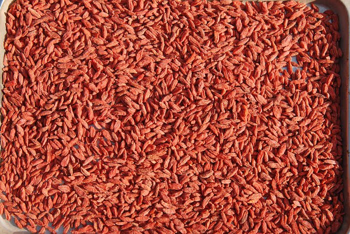 GOJI BERRY 650