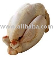  WHOLE   FROZEN   TURKEY 