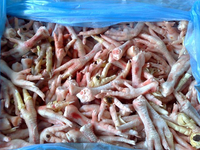 halal frozen turket feet,turket wing, turkey  paw