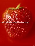 on sale ```` 2010 new crop strawberry jam