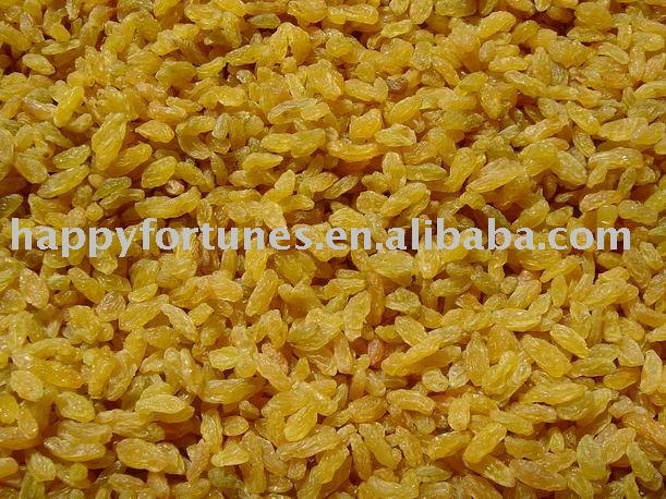 Golden Raisins sultana raisins golden grape seedless raisin dried fruit snack fruit