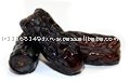 Dates Zahedi