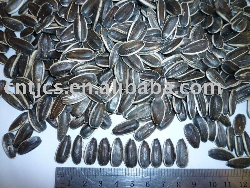 Sunflower seed: 20/64, 22/64, 24/64