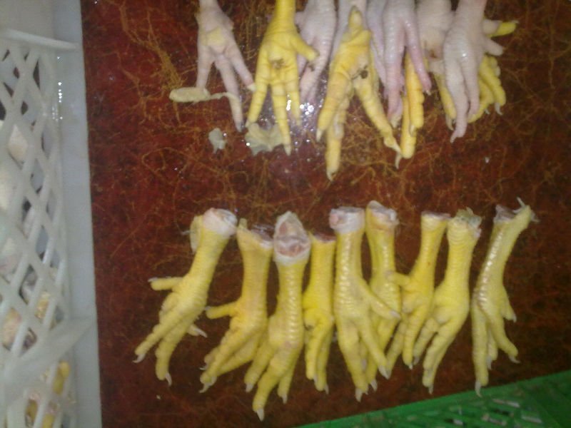 Processed Chicken Feet Wholesalers Frozen Food