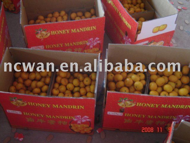 Nanfeng honey orange, fresh fruit
