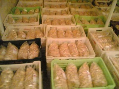 Processed Chicken Feet .
