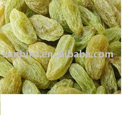 dry green rasin