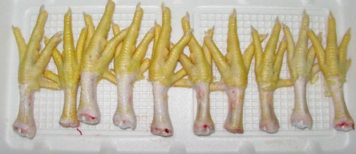 Processed and Unprocessed Chicken paws for sale