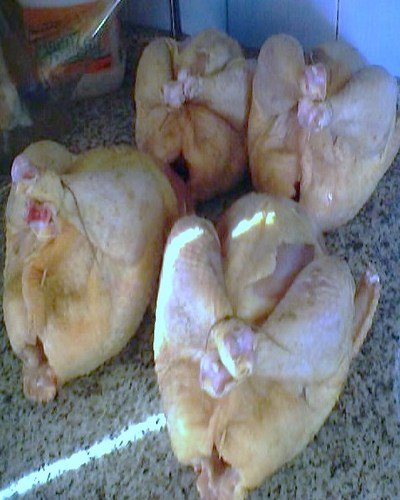 Chicken Griller For Sale