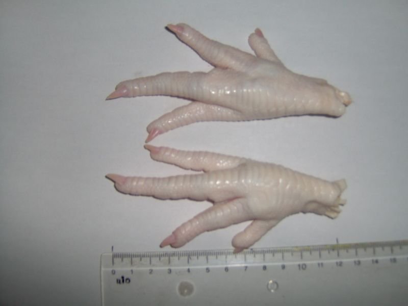 løst civilisation Bliv oppe Processed Frozen Chicken paw,Cameroon price supplier - 21food