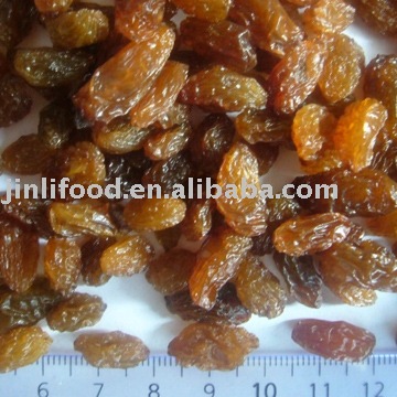 sultana raisin