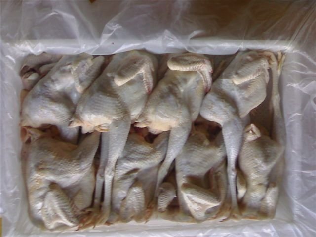 Frozen whole layer hen