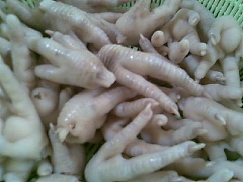 Processed And Un Processed Frozen Chicken Feet And Paws