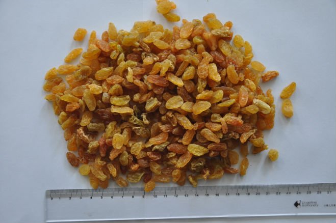 golden raisins