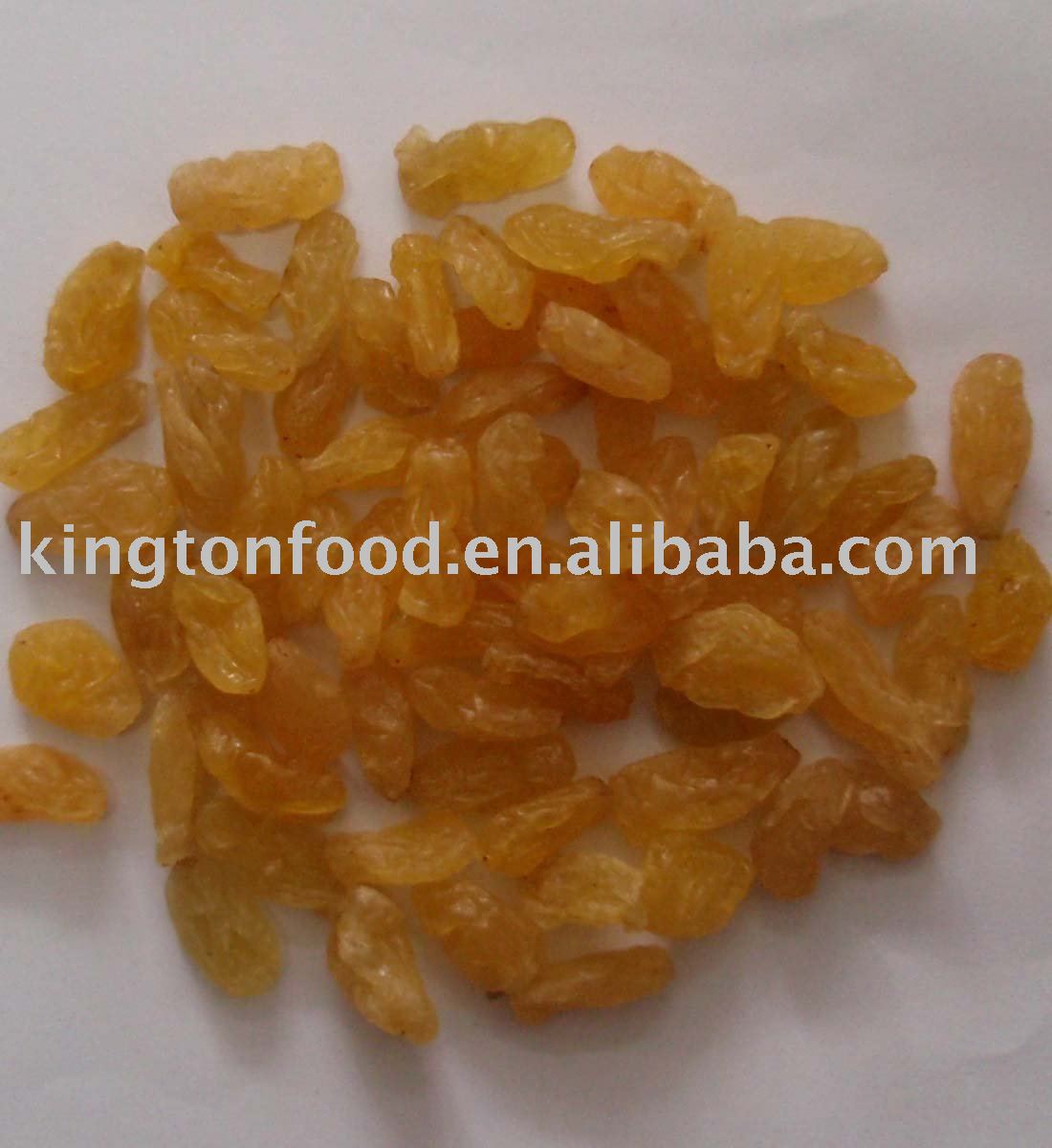 dried red raisin