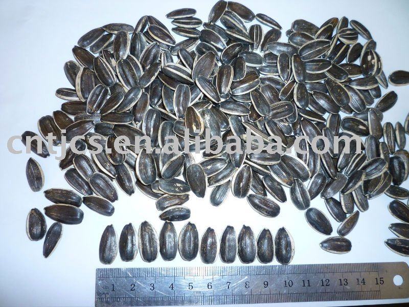 Sunflower seed: American type 20/64, 22/64, 24/64
