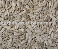 white sunflower seeds