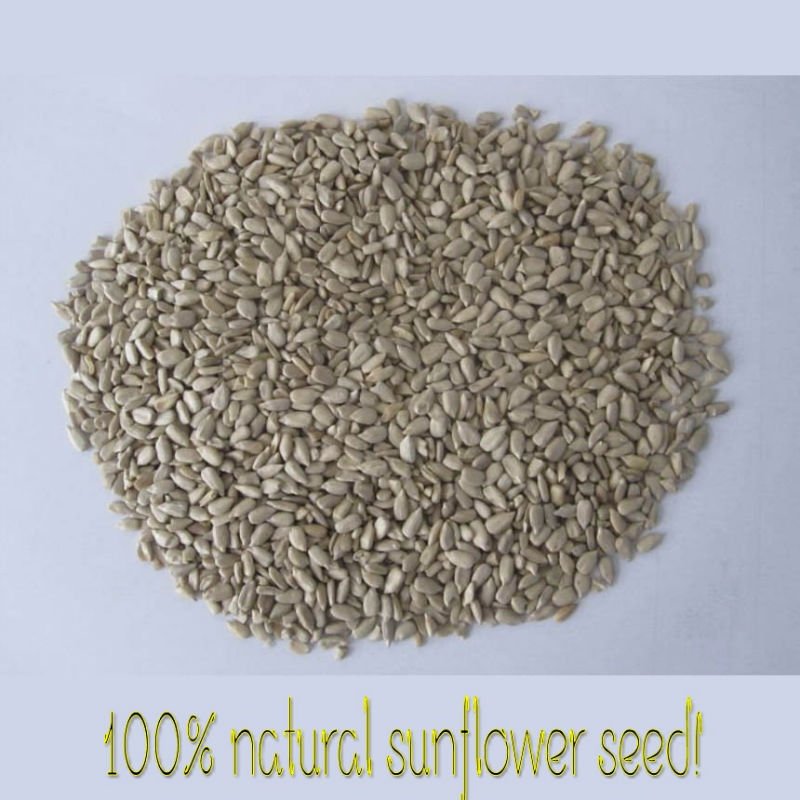 Natural sunflower seed kernels( bakery type)