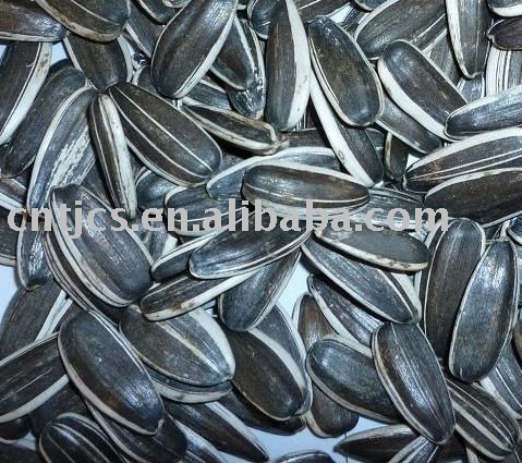 chinese sunflower seeds 5009