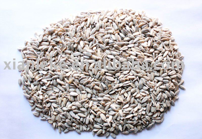 Oil Seeds Kernels