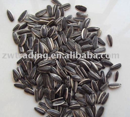 Raw sunflower seeds