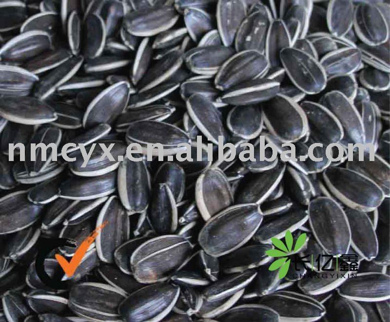 Sunflower seed 118