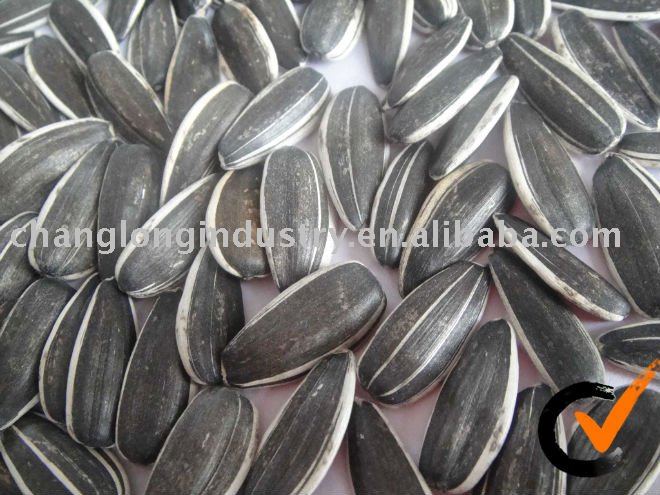 Sunflower seed 5009 from  Inner   Mongolia ,China