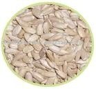 Organic Sunflower kernel