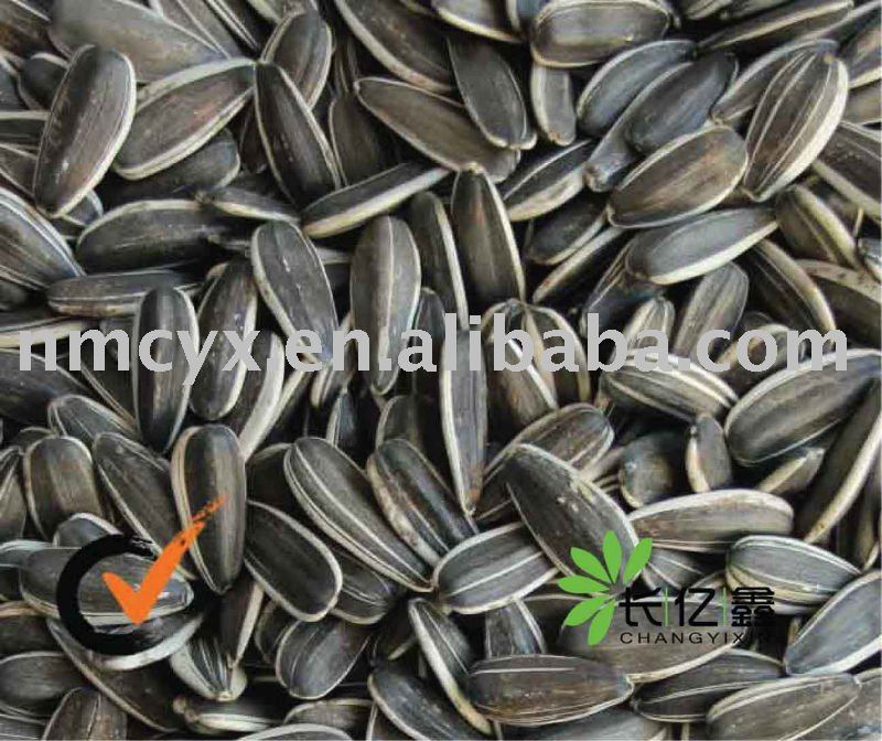 Sunflower seed (5009)