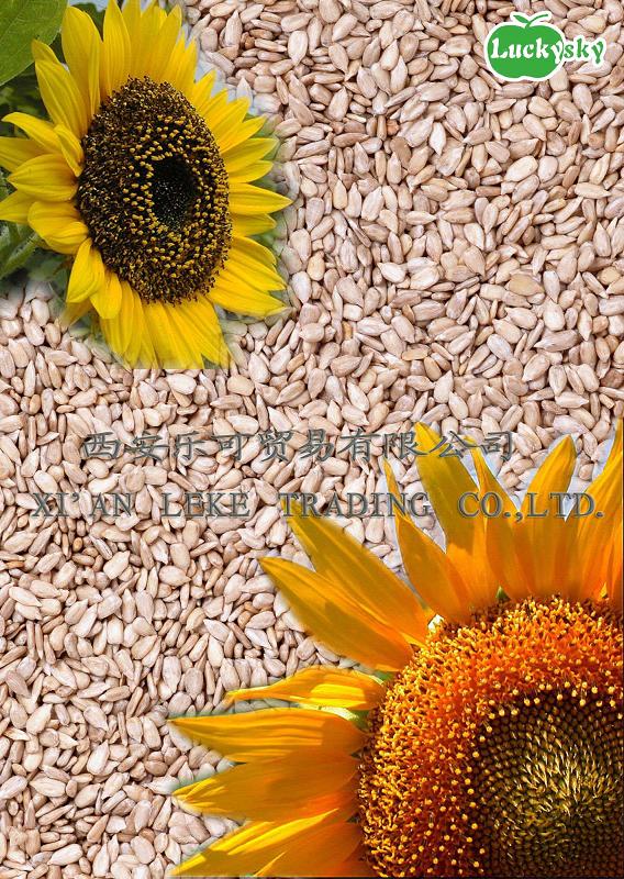 Sunflower Seeds Kernels, Bakery Grade