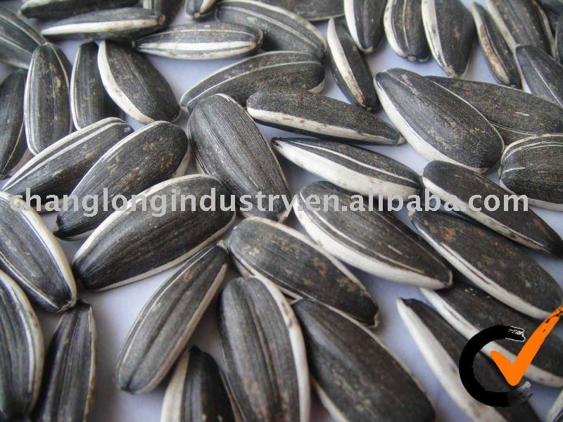 Sunflower Seed in 2010