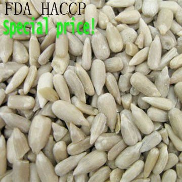 Bird sunflower seeds/kernels