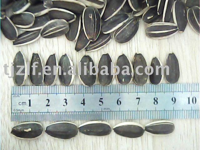 sunflower seeds 5135