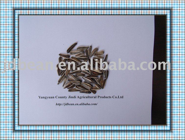  Sunflower   seeds  ( bird  food GF4)